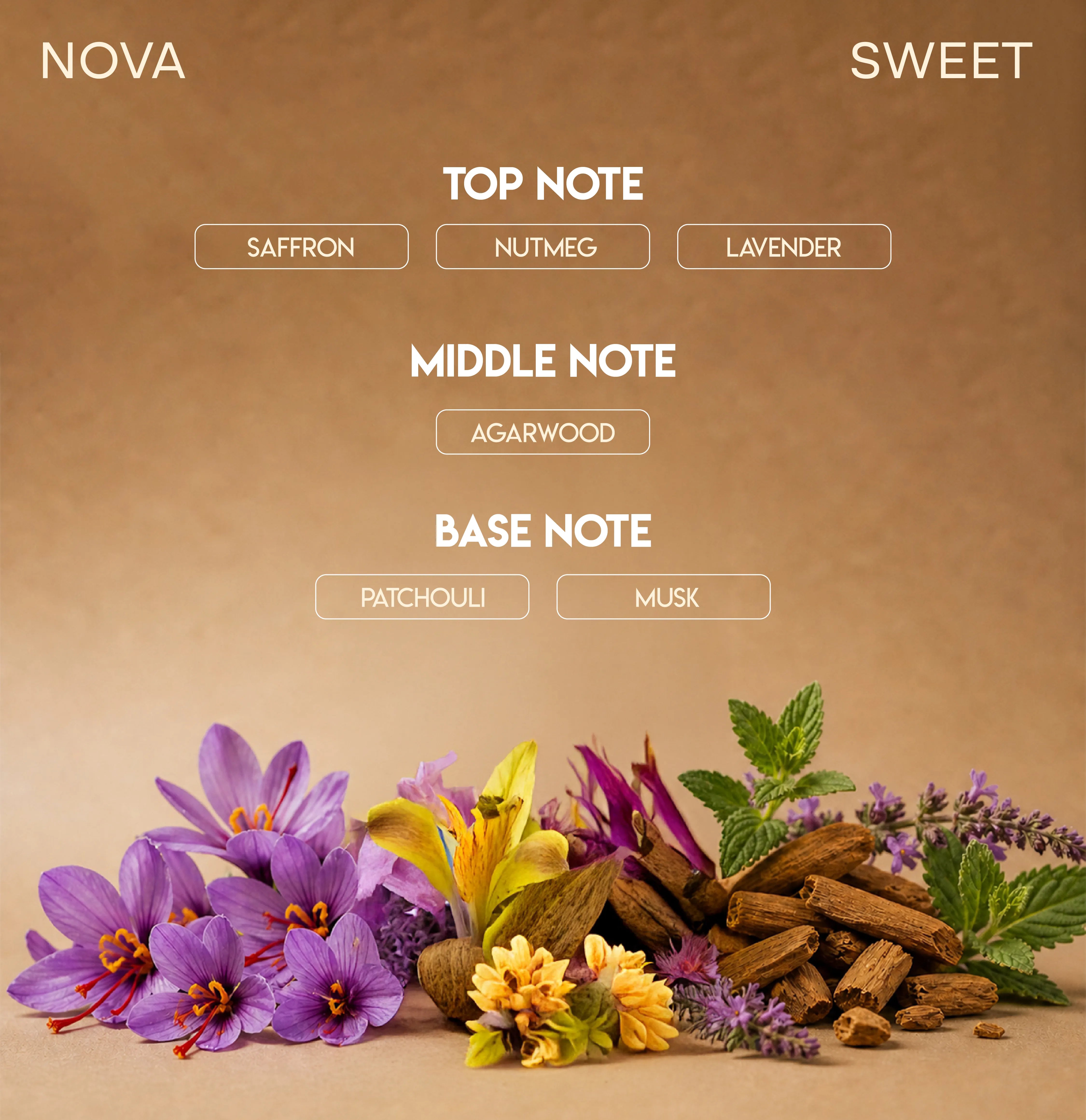 CHELLA NOVA PERFUME
